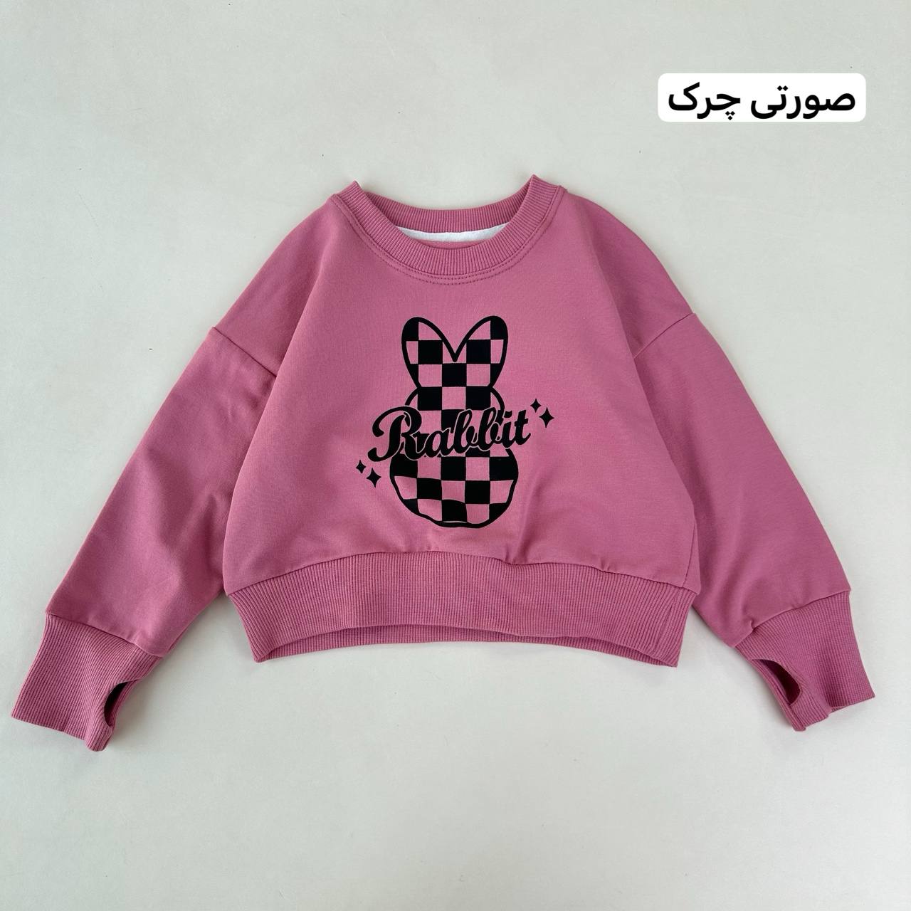 عکس تک کراپ Rabbit - شماره 8