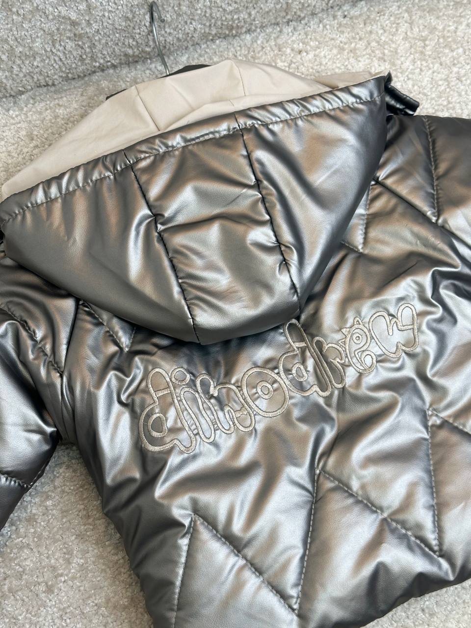 عکس کاپشن چراغدار دینو کد113 - شماره 5